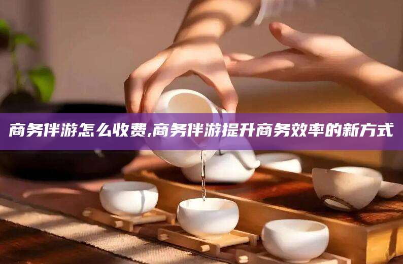 连云港商务伴游怎么收费,商务伴游提升商务效率的新方式