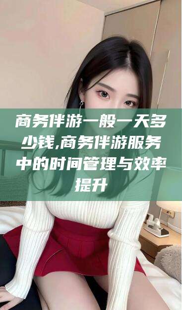 连云港商务伴游一般一天多少钱,商务伴游服务中的时间管理与效率提升